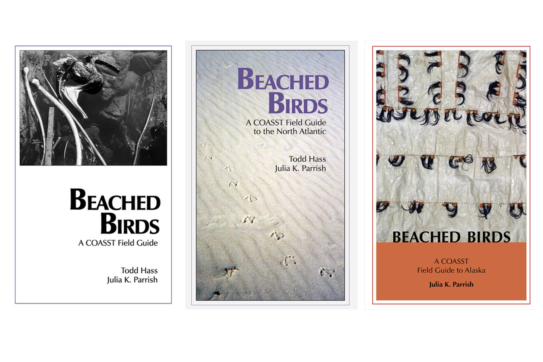 Beached Bird Field Guides